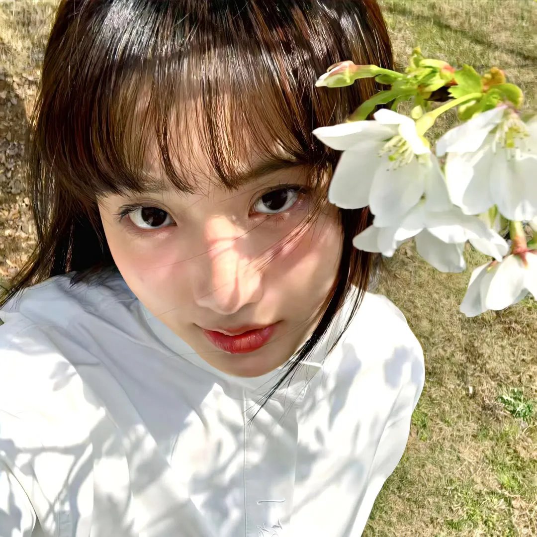 狮子王2019